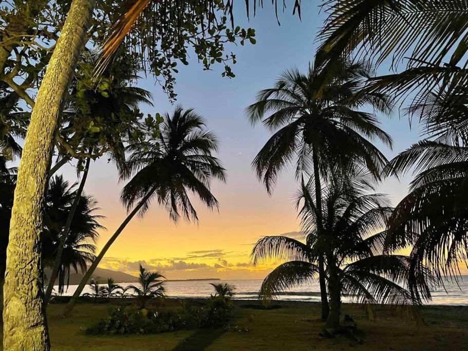 *New Campomar Beachfront 2Bdrm Villa In Arroyo Exteriér fotografie